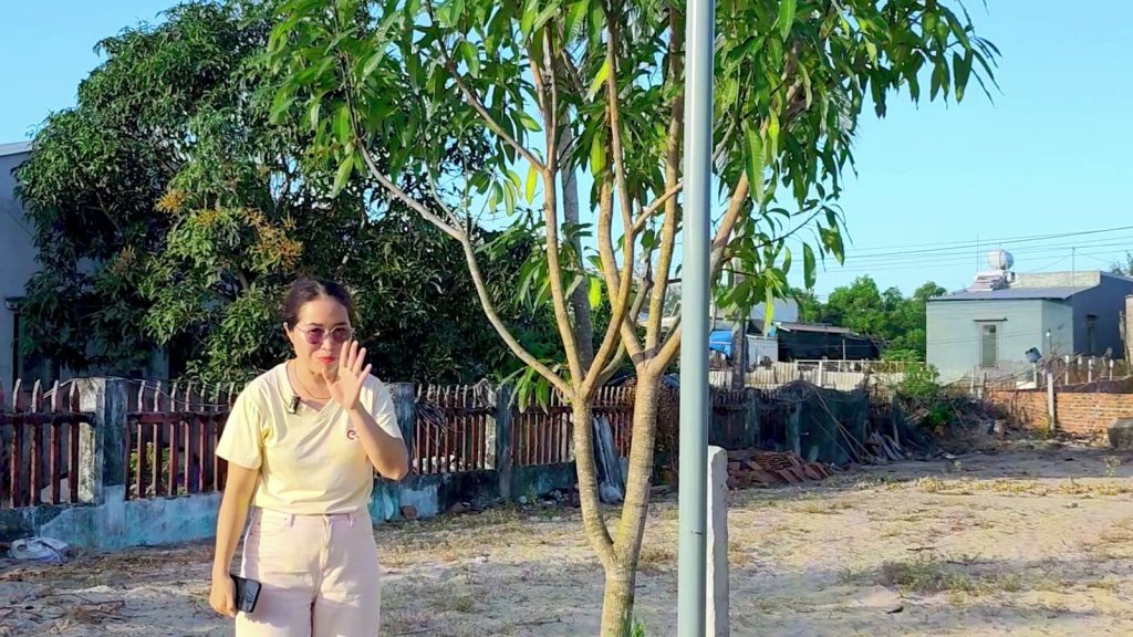 Nguyễn Thanh đứng trên lô đất trống ở Tam Tiến, phía sau là hàng rào và nhà dân