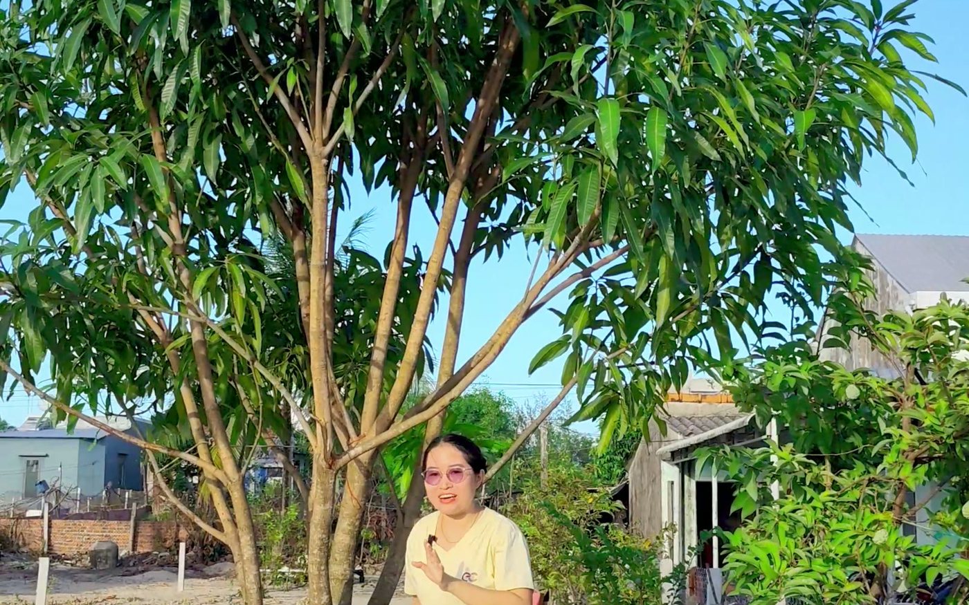 Lô đất trống ở Tam Tiến nhìn từ mặt đường, xung quanh là nhà dân và cây xanh