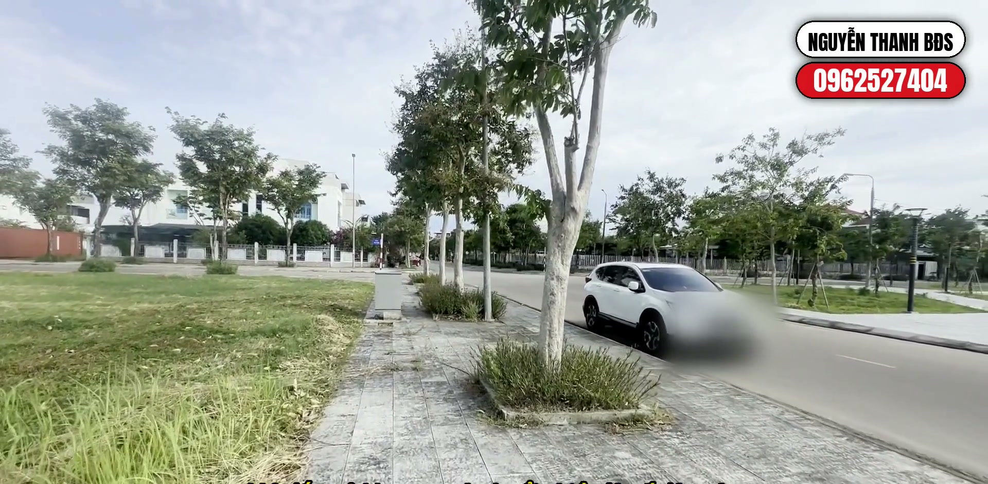 Đường Trần Thái Tông trước lô đất, lề đường rộng có ô tô đỗ, hàng cây và thảm cỏ dọc vỉa hè