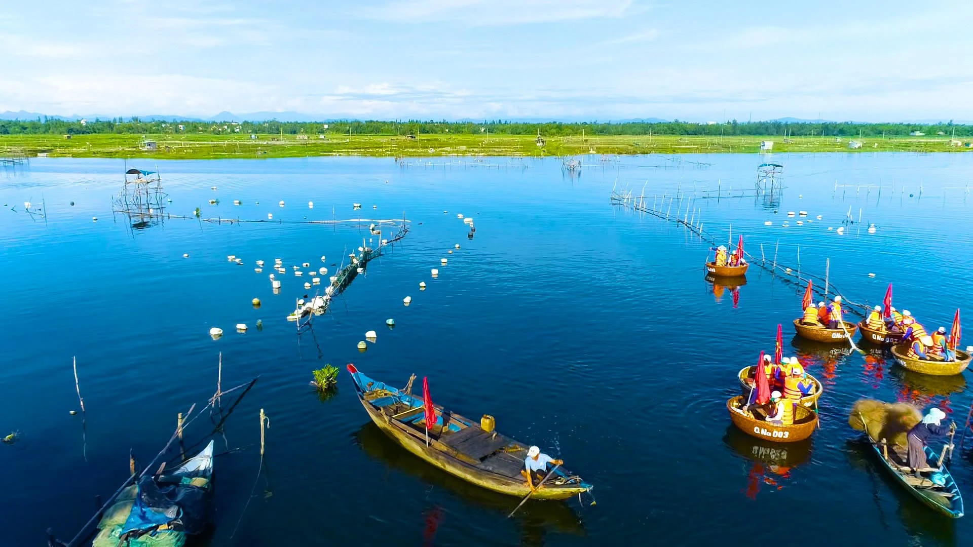 Đoàn thúng chai cắm cờ đỏ chở khách đi trên mặt nước rộng giữa các hàng cọc và lưới đăng, xa xa là bãi cỏ xanh và rặng cây