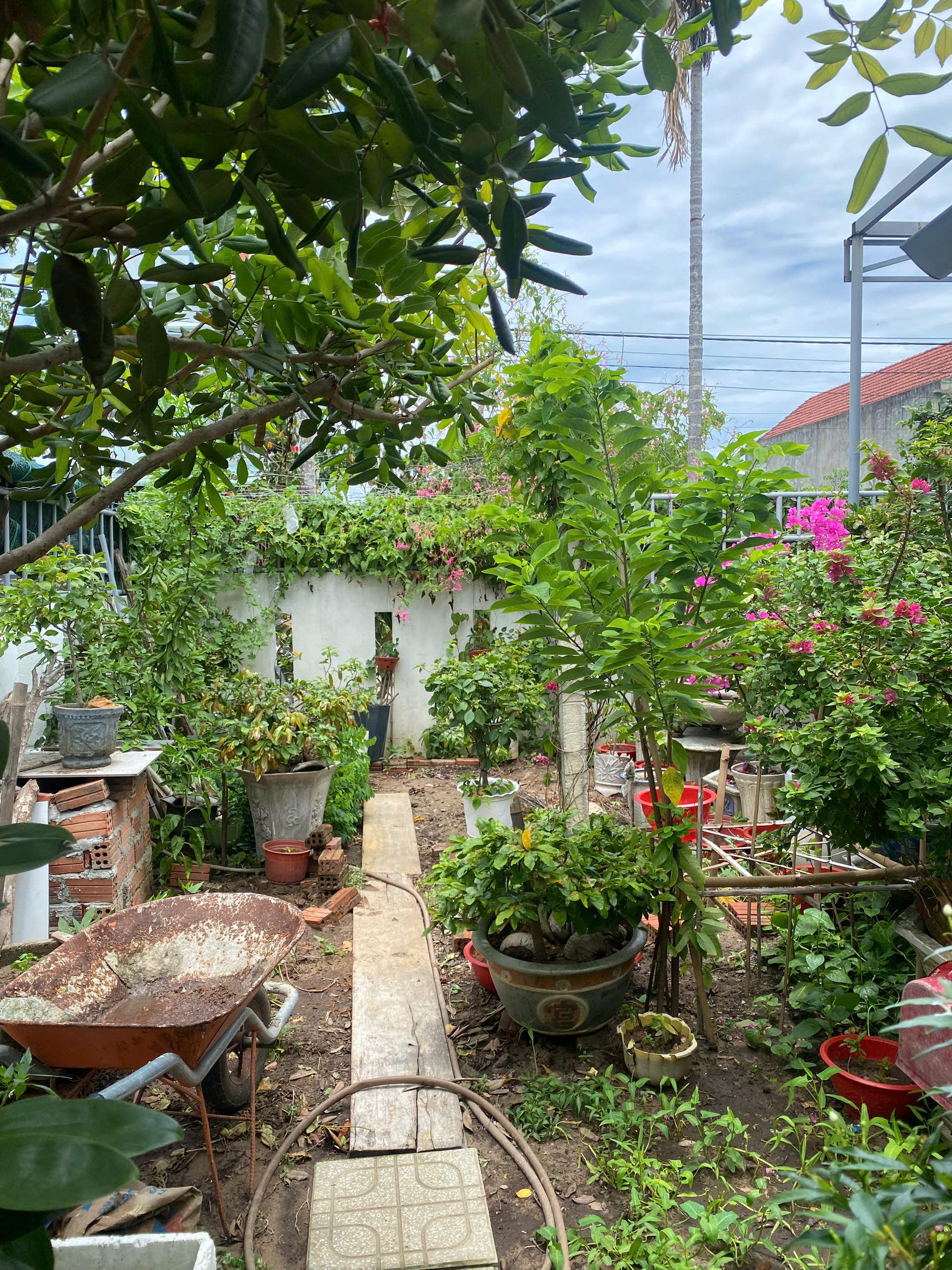 Sân vườn phía sau nhà 200m2 khu dân cư 270 Quảng Phú
