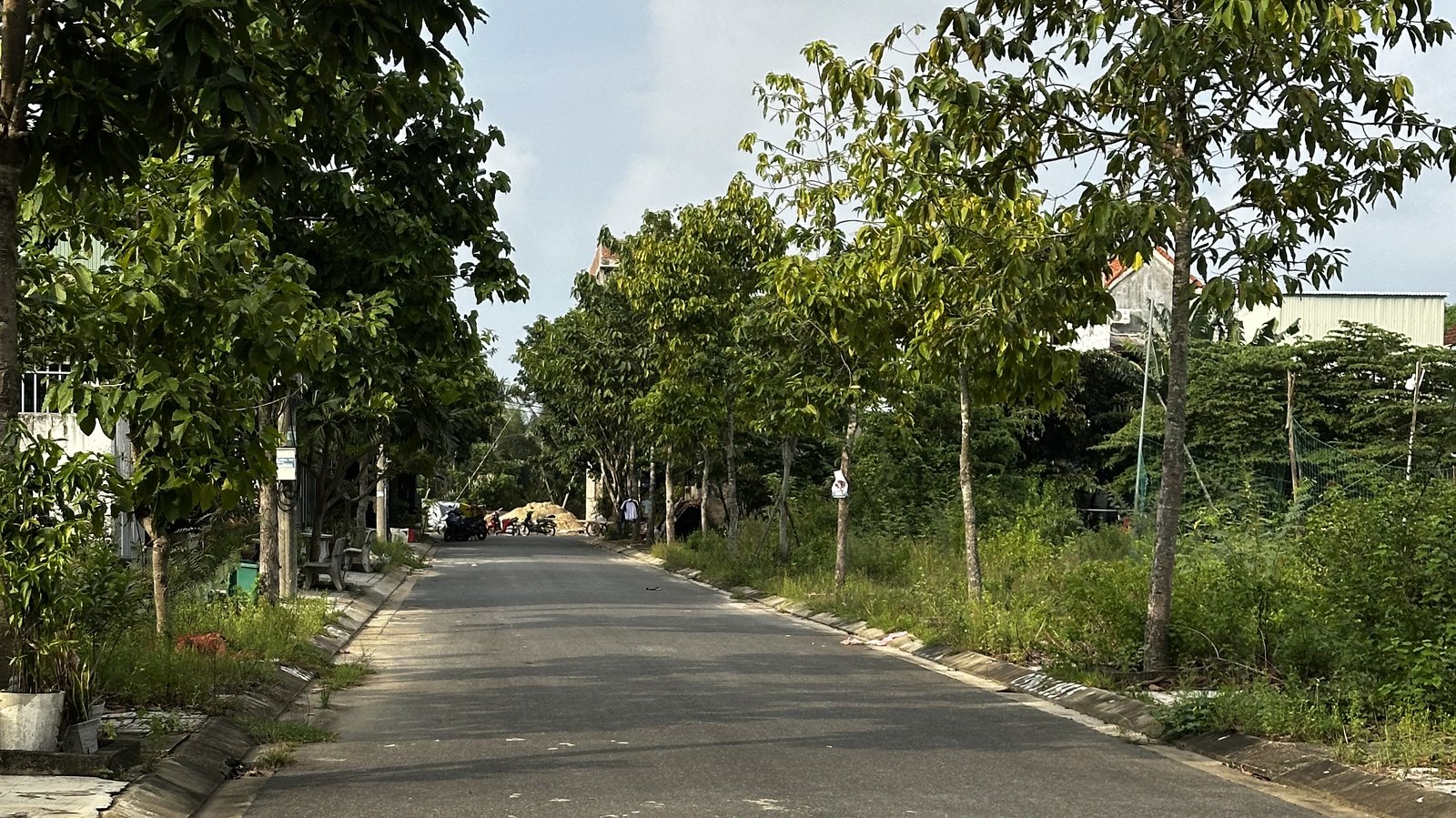 Trục đường Lê Văn Đức Tam Kỳ, đường nhựa thẳng với hàng cây xanh và vỉa hè hai bên