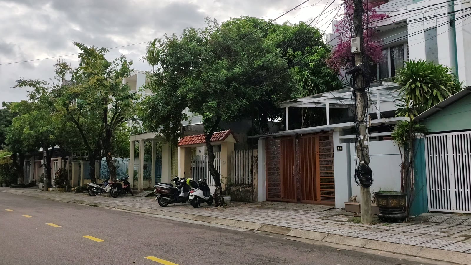 Khu dân cư trên đường Đỗ Đăng Tuyển Tam Kỳ, nhà phố đã xây kín, cây xanh trước nhà