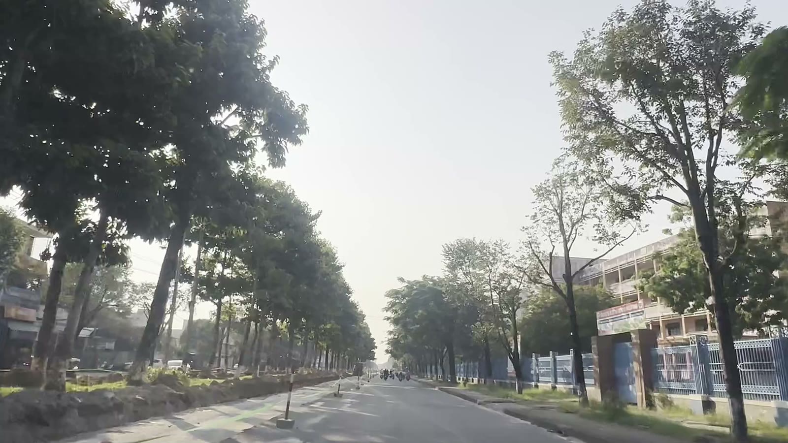 Hàng cây xanh hai bên đường Hùng Vương Tam Kỳ buổi sáng sớm, mặt đường vắng xe