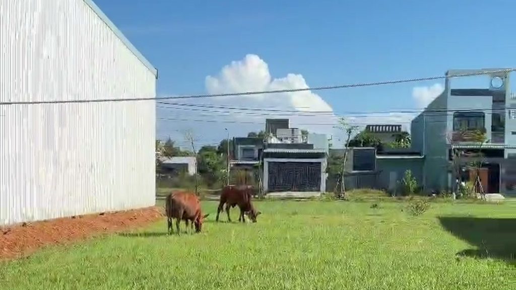 Lô đất KDC 270 Quảng Phú Tam Kỳ 100 m2 mặt cỏ xanh, hai bên nhà đã xây, phía sau là dãy nhà dân